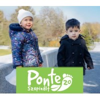 Ponte20